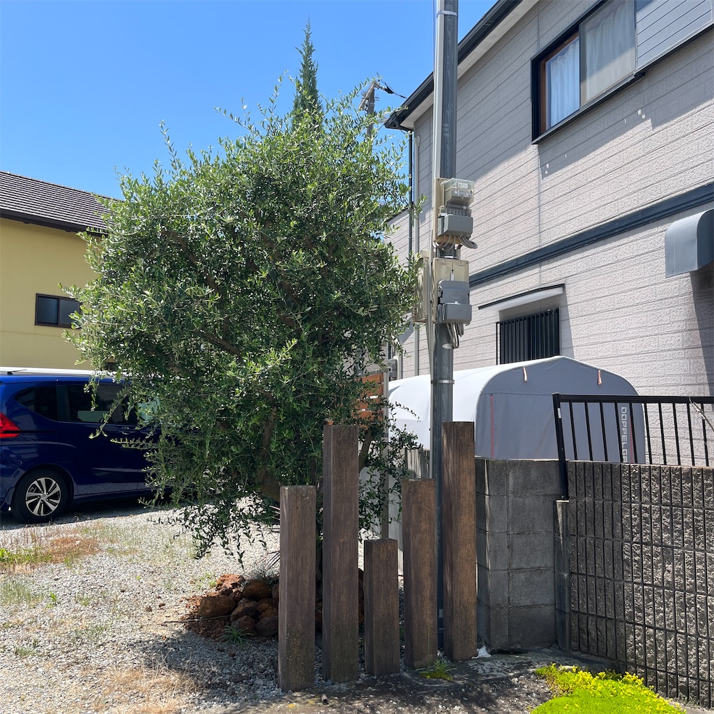 f:id:keikostyle:20230604201309j:image