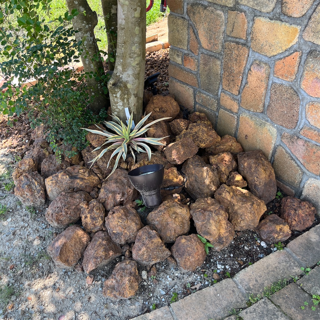 f:id:keikostyle:20230604201312j:image