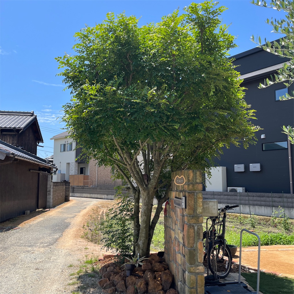 f:id:keikostyle:20230604201315j:image