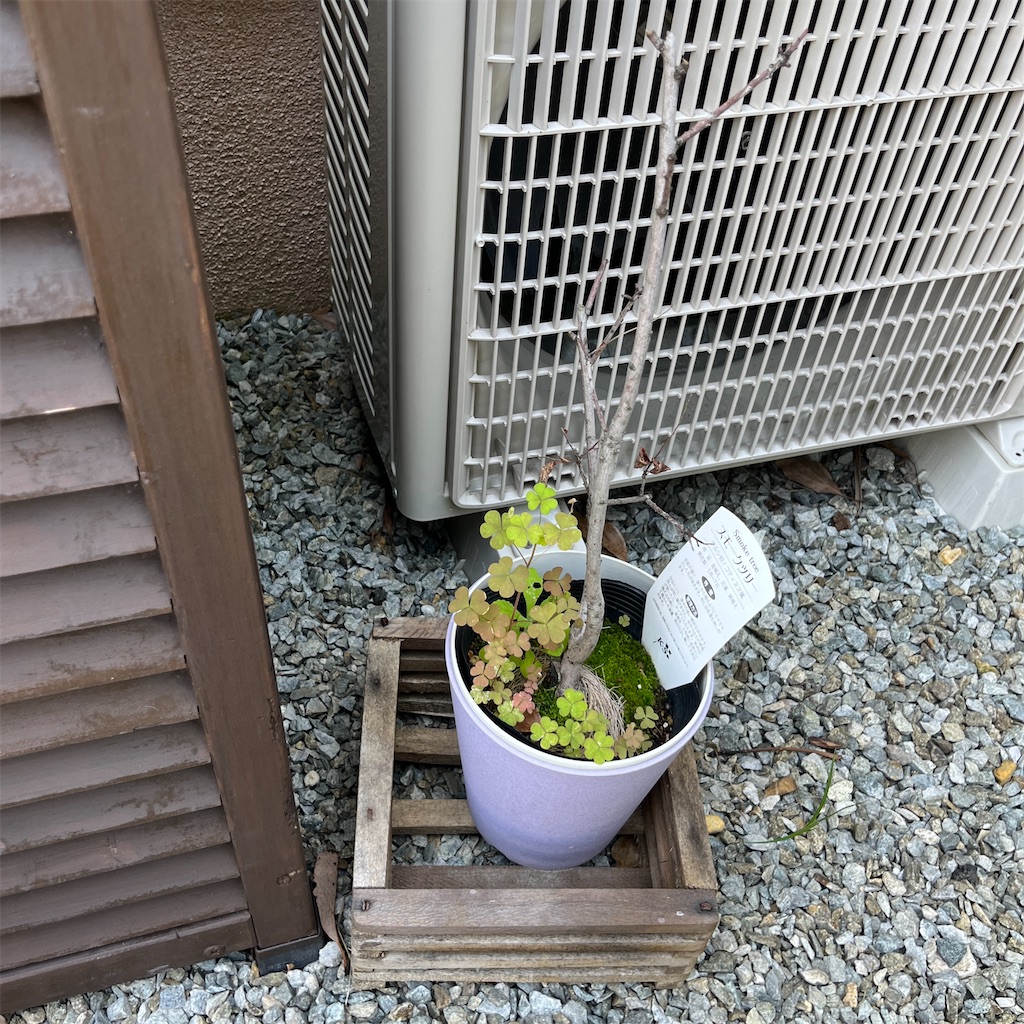 f:id:keikostyle:20230604201319j:image