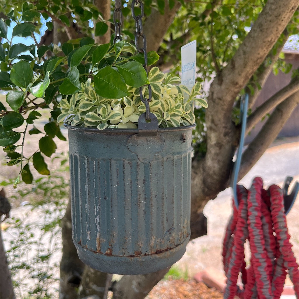 f:id:keikostyle:20230604201322j:image