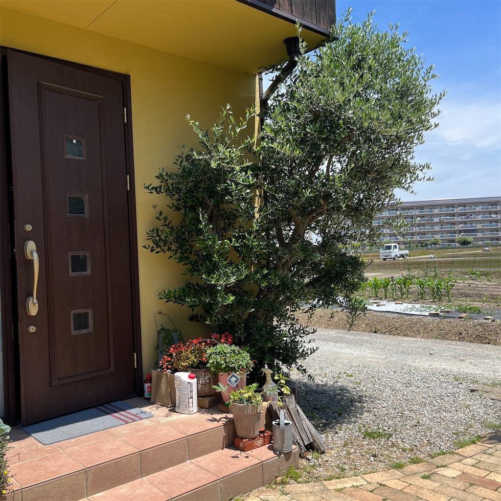 f:id:keikostyle:20230604201333j:image