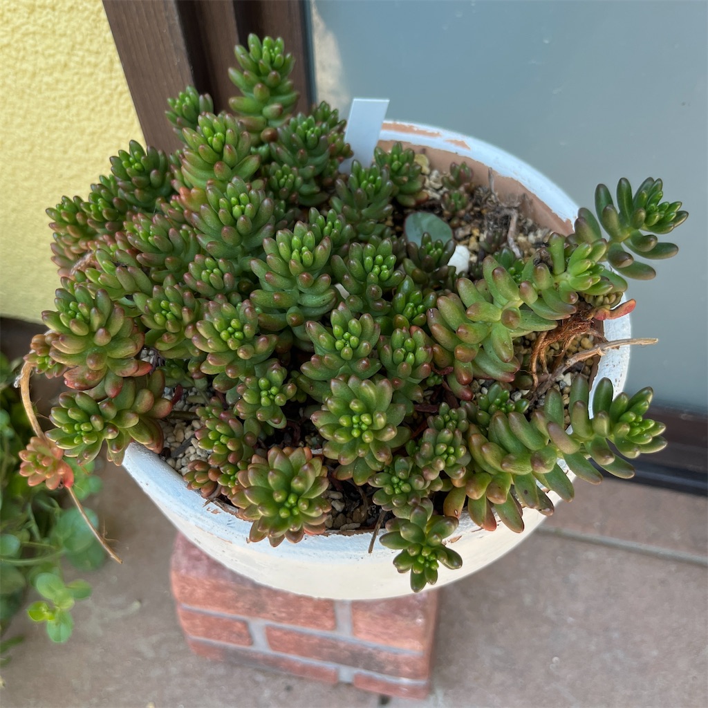 f:id:keikostyle:20230604201340j:image