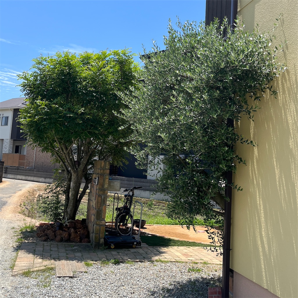 f:id:keikostyle:20230604201344j:image