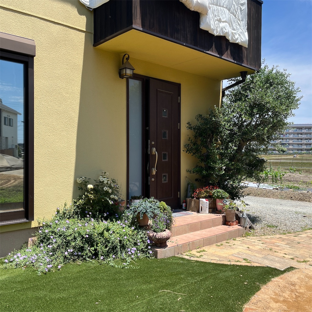 f:id:keikostyle:20230604201347j:image