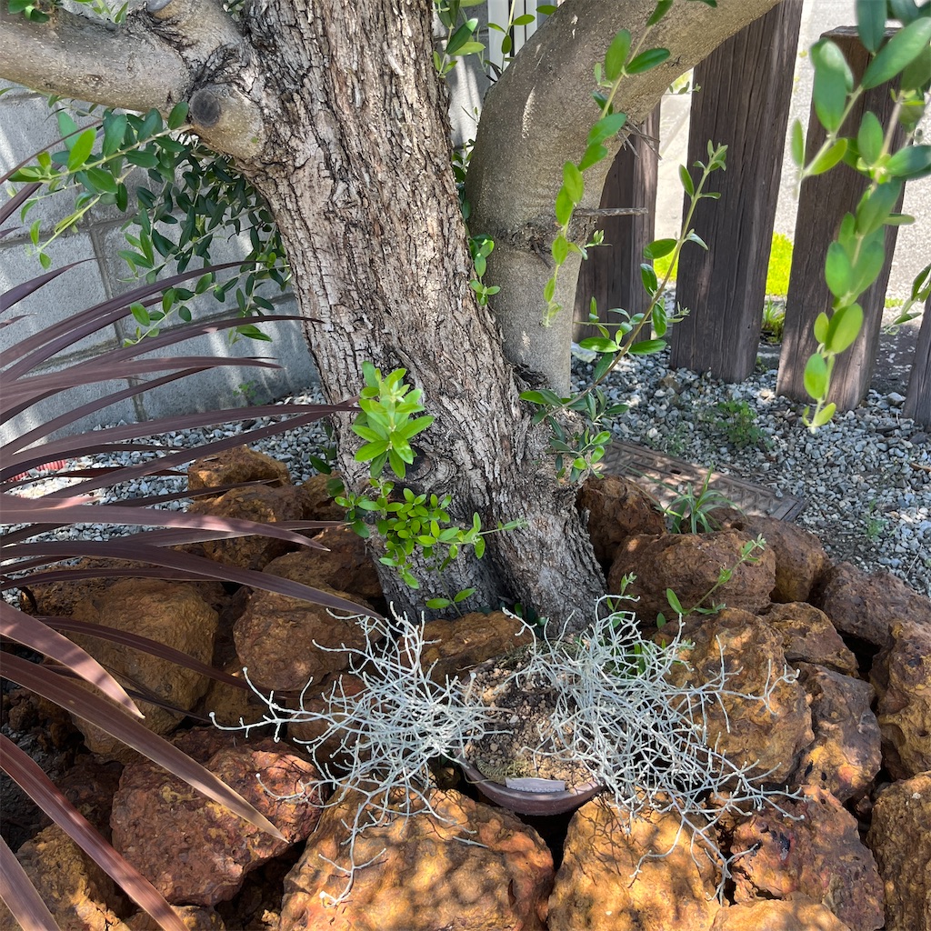 f:id:keikostyle:20230604201351j:image