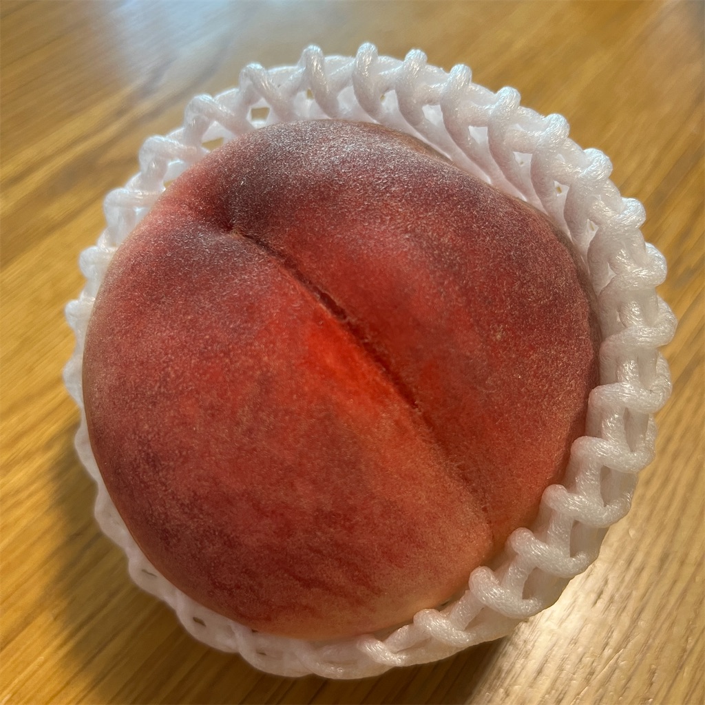 f:id:keikostyle:20230720152443j:image