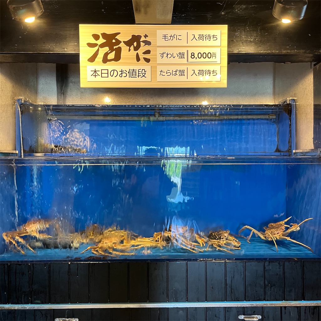 f:id:keikostyle:20230721111340j:image