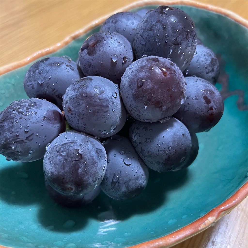 f:id:keikostyle:20230722201855j:image