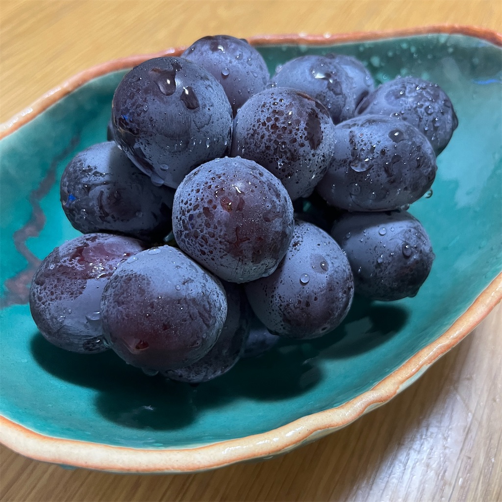 f:id:keikostyle:20230722201858j:image