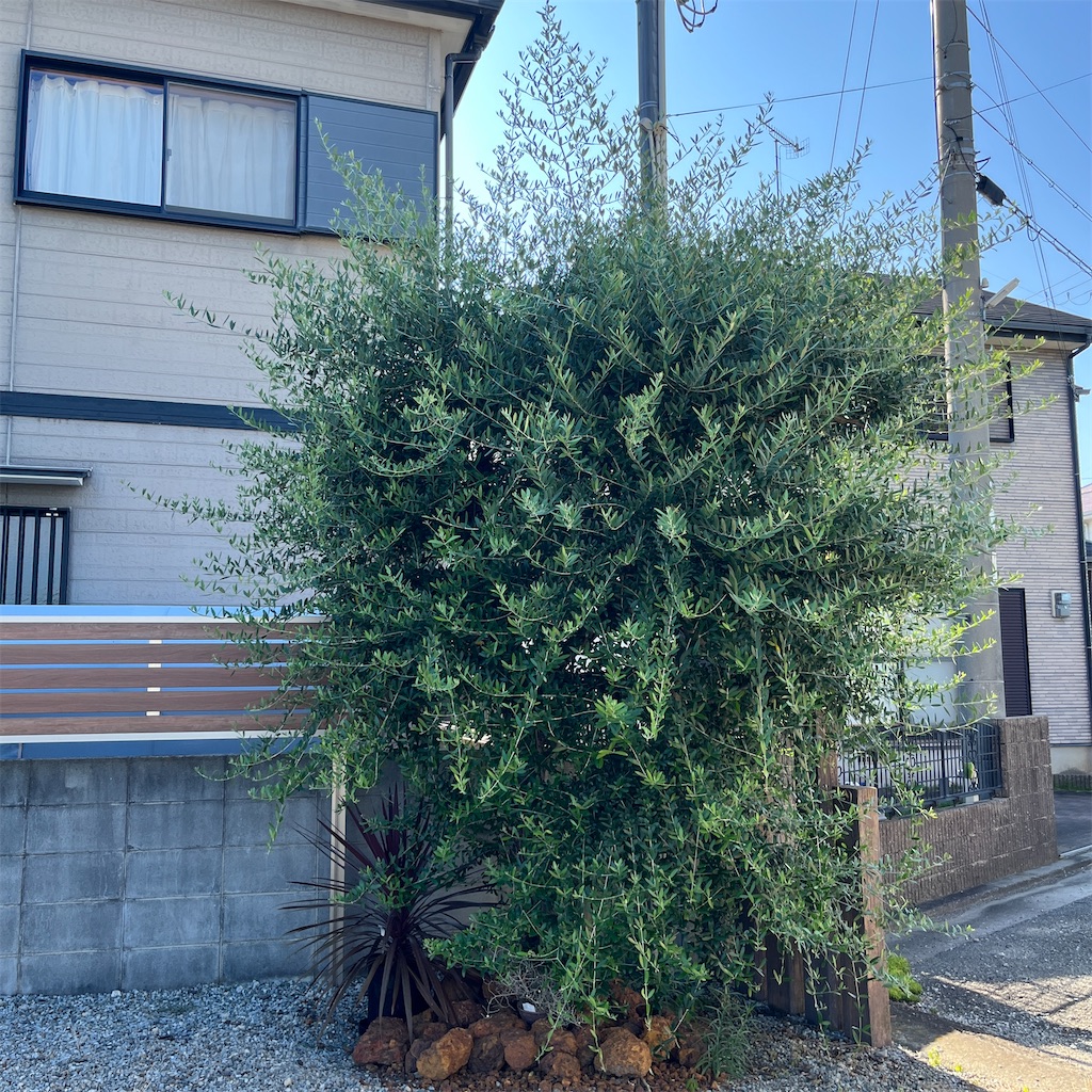 f:id:keikostyle:20230725164801j:image