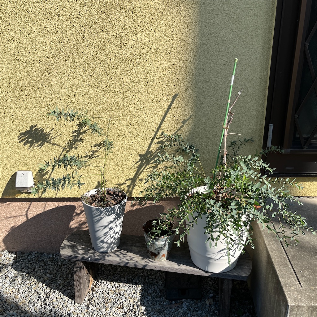 f:id:keikostyle:20230725164828j:image