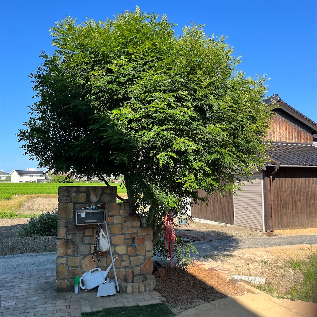 f:id:keikostyle:20230725164832j:image