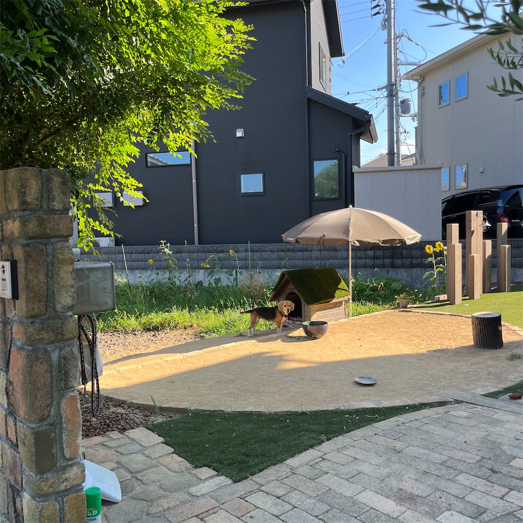 f:id:keikostyle:20230725164845j:image