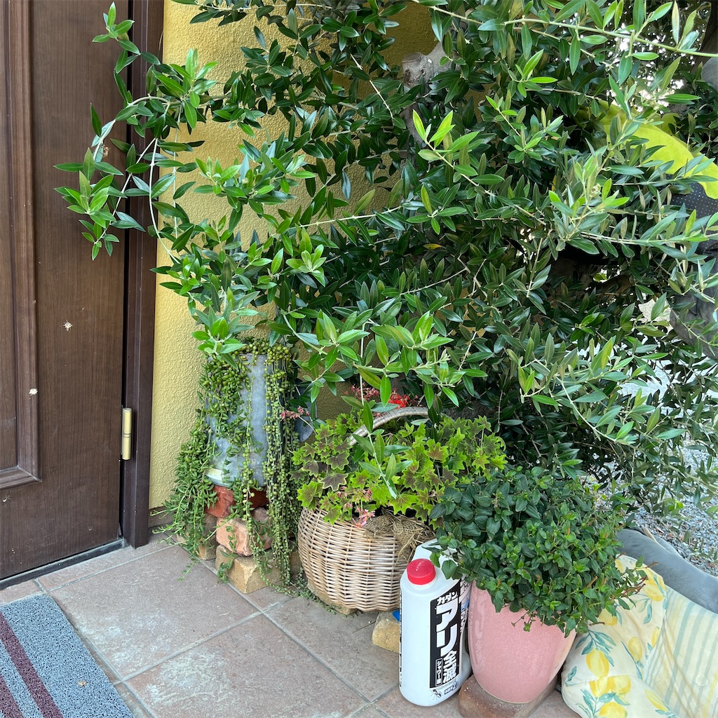 f:id:keikostyle:20230725164858j:image