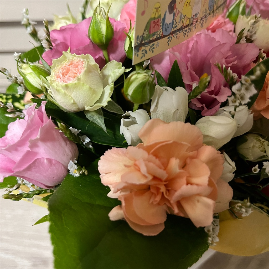 f:id:keikostyle:20230808211002j:image