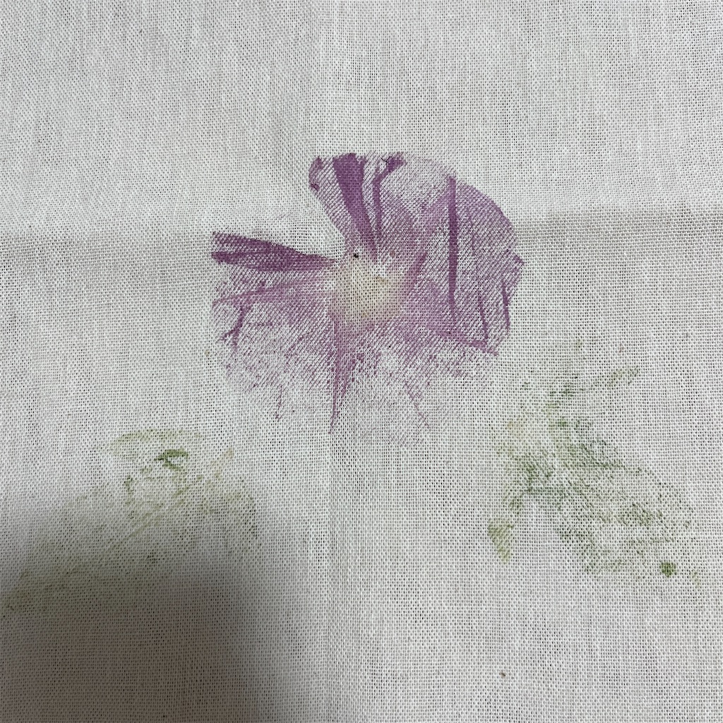 f:id:keikostyle:20230808211008j:image