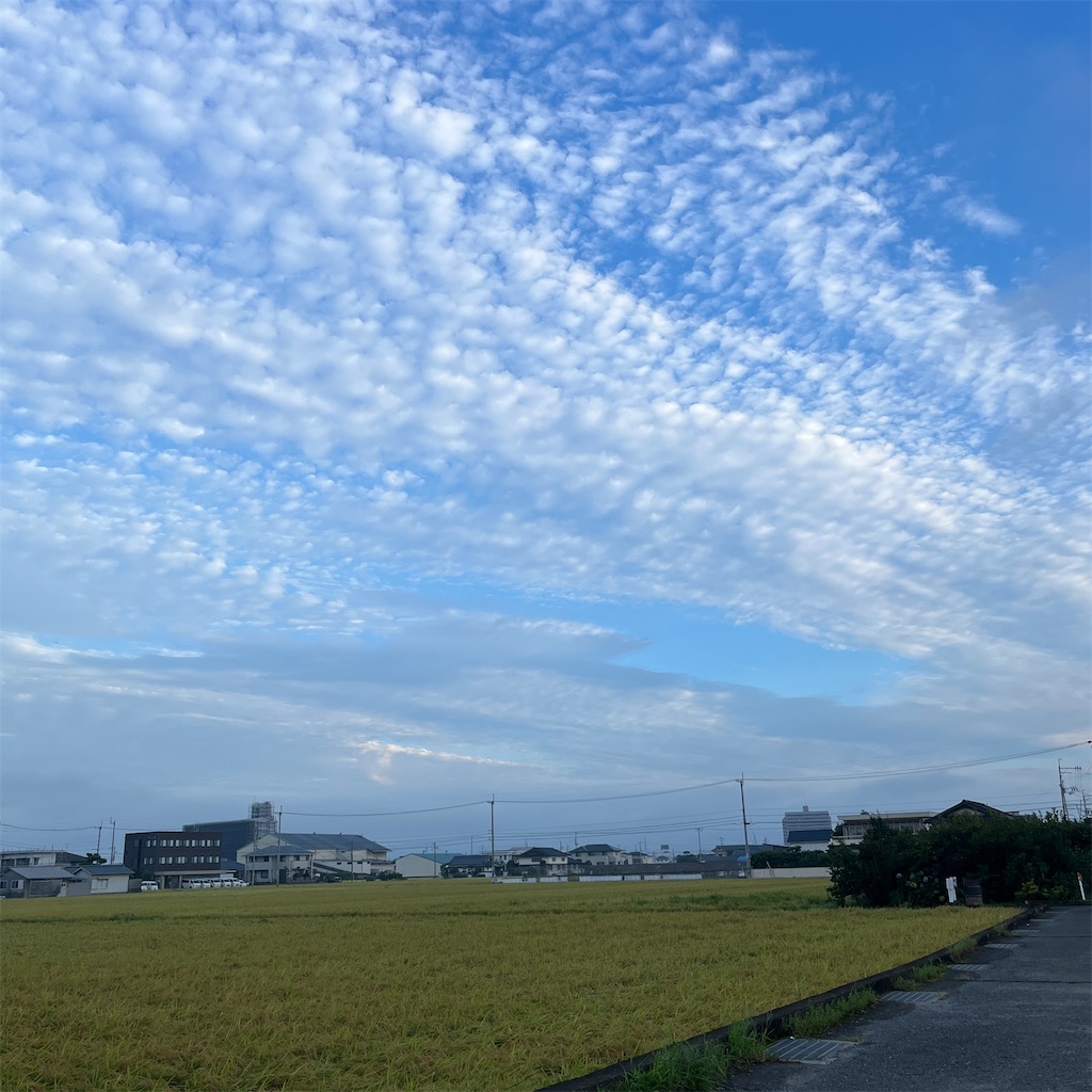 f:id:keikostyle:20230819070851j:image