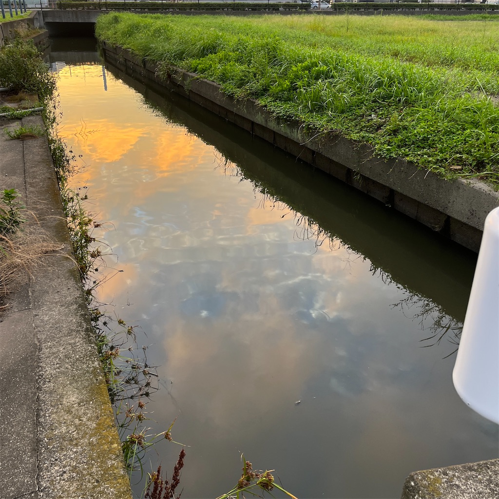 f:id:keikostyle:20230819070912j:image