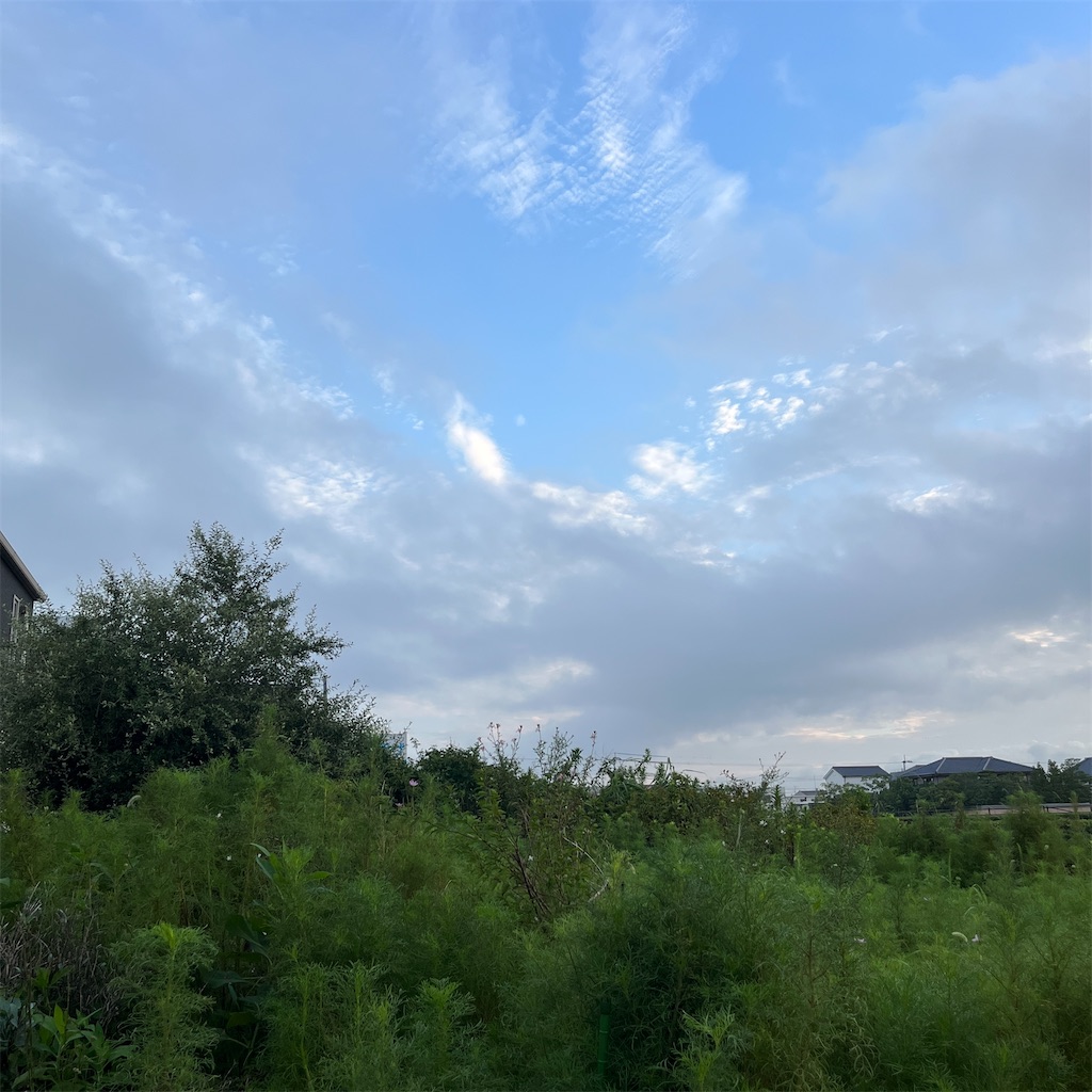 f:id:keikostyle:20230819070938j:image
