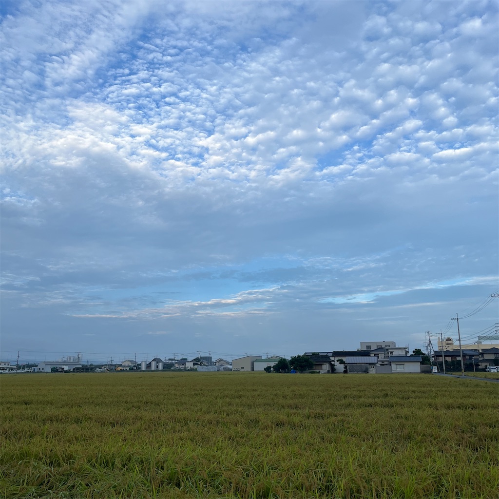 f:id:keikostyle:20230819070944j:image