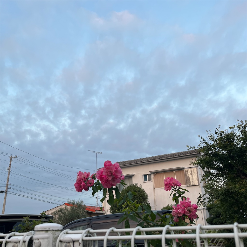 f:id:keikostyle:20230820063049j:image