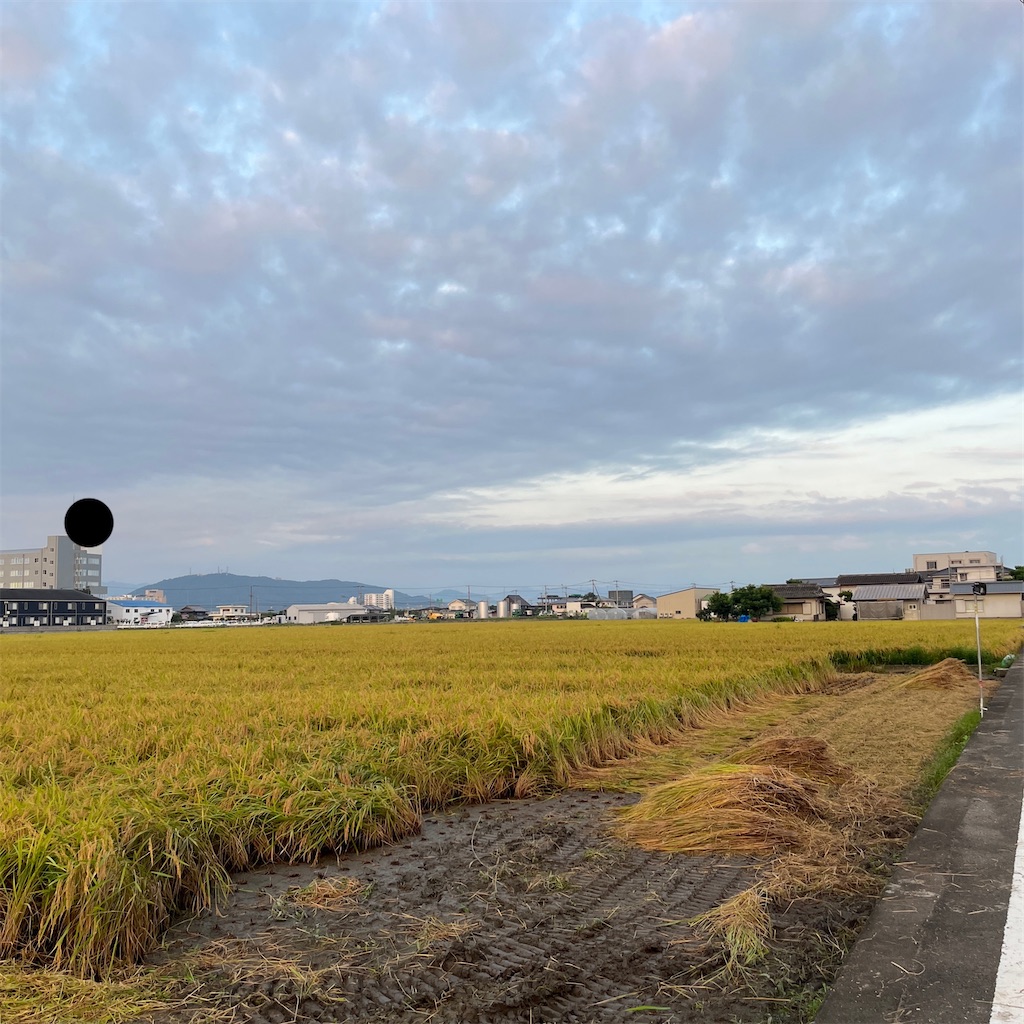 f:id:keikostyle:20230820063122j:image