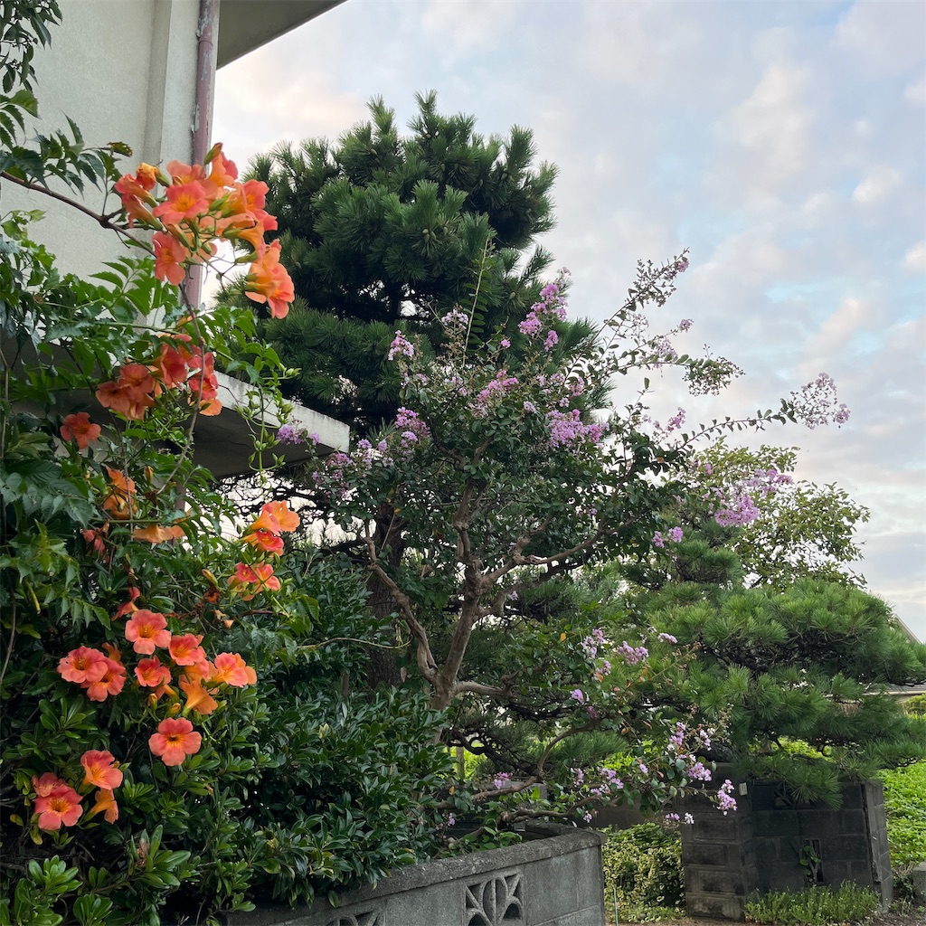 f:id:keikostyle:20230820063145j:image