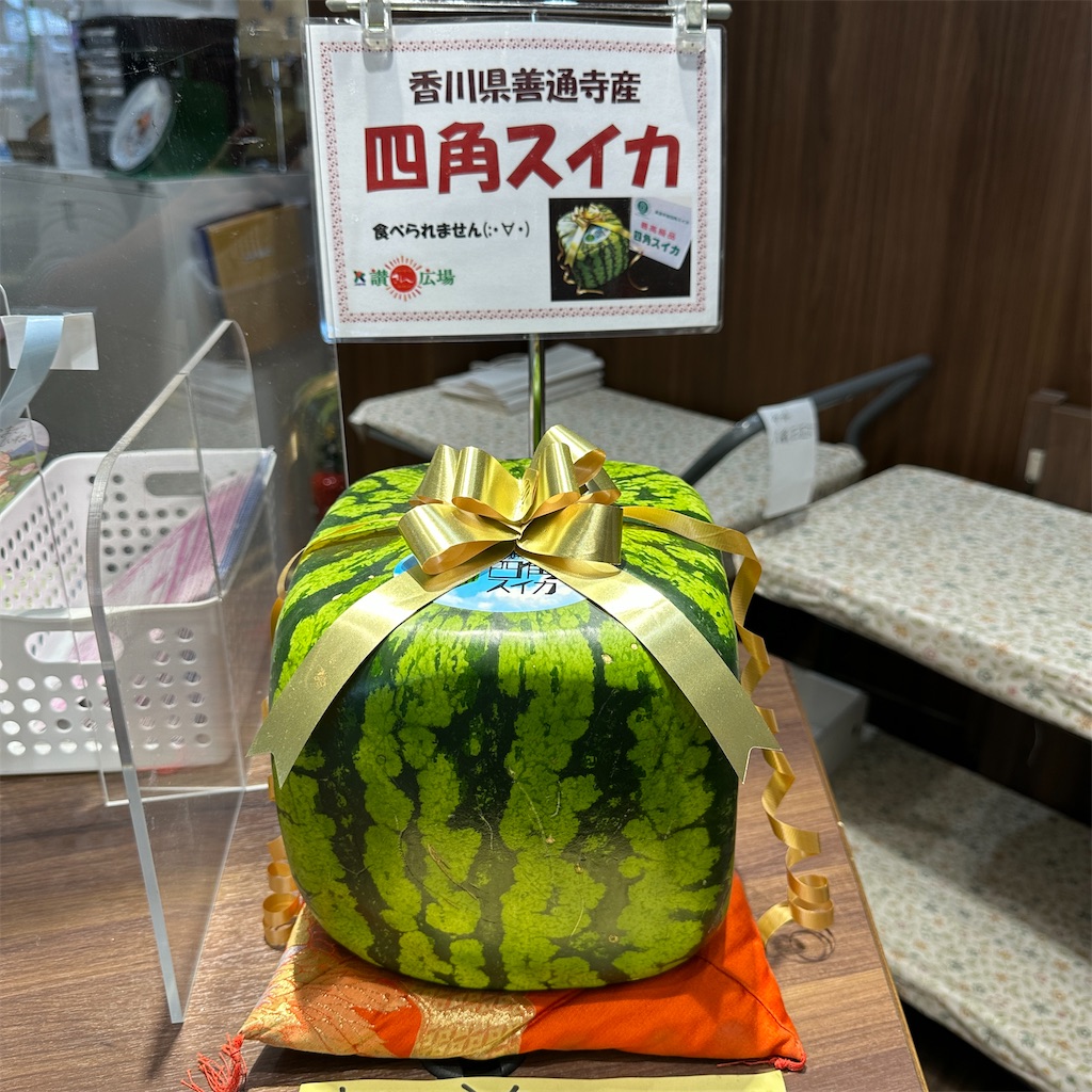 f:id:keikostyle:20230825181115j:image