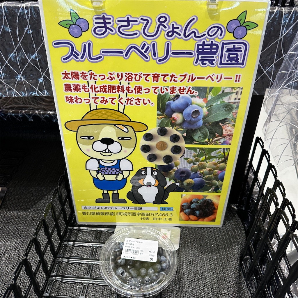 f:id:keikostyle:20230825181131j:image
