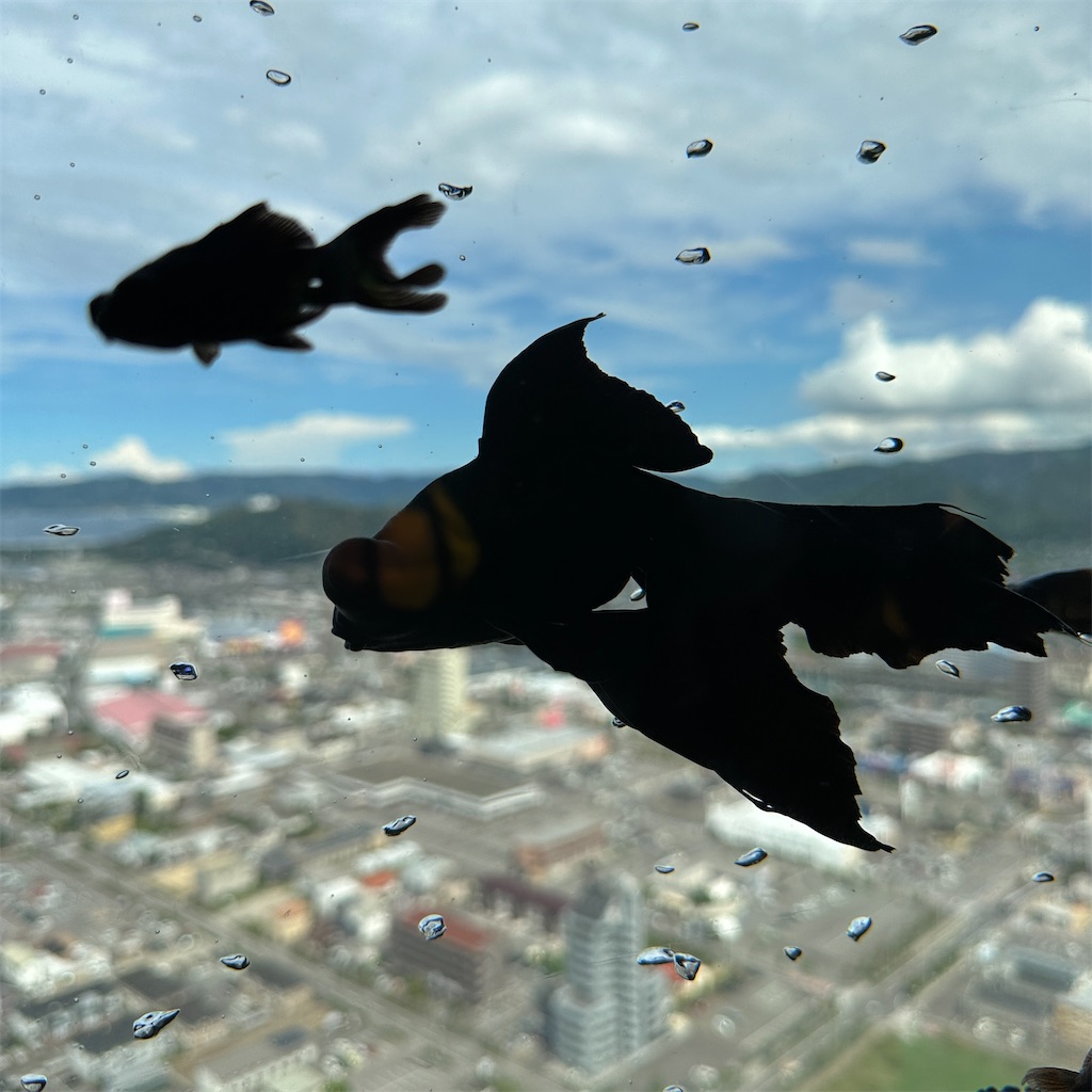 f:id:keikostyle:20230825201632j:image