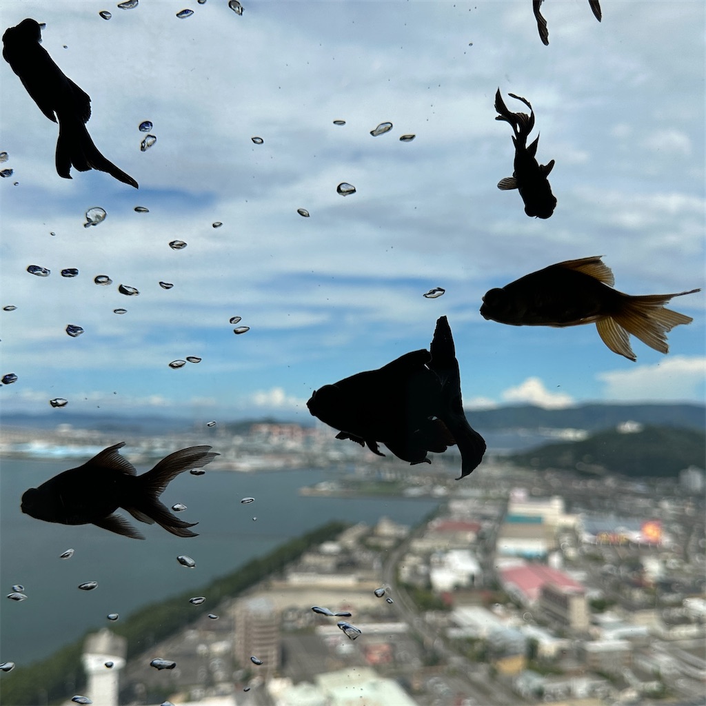 f:id:keikostyle:20230825201639j:image