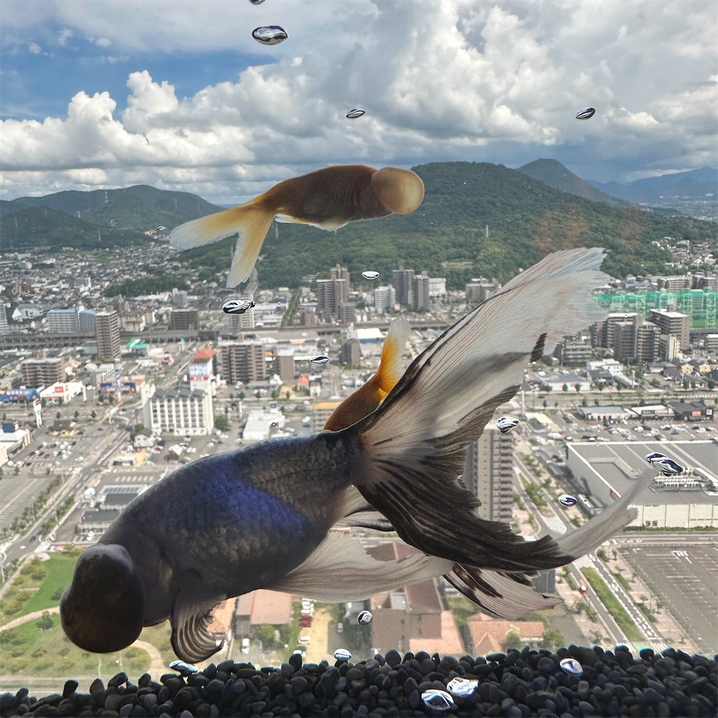 f:id:keikostyle:20230825201718j:image