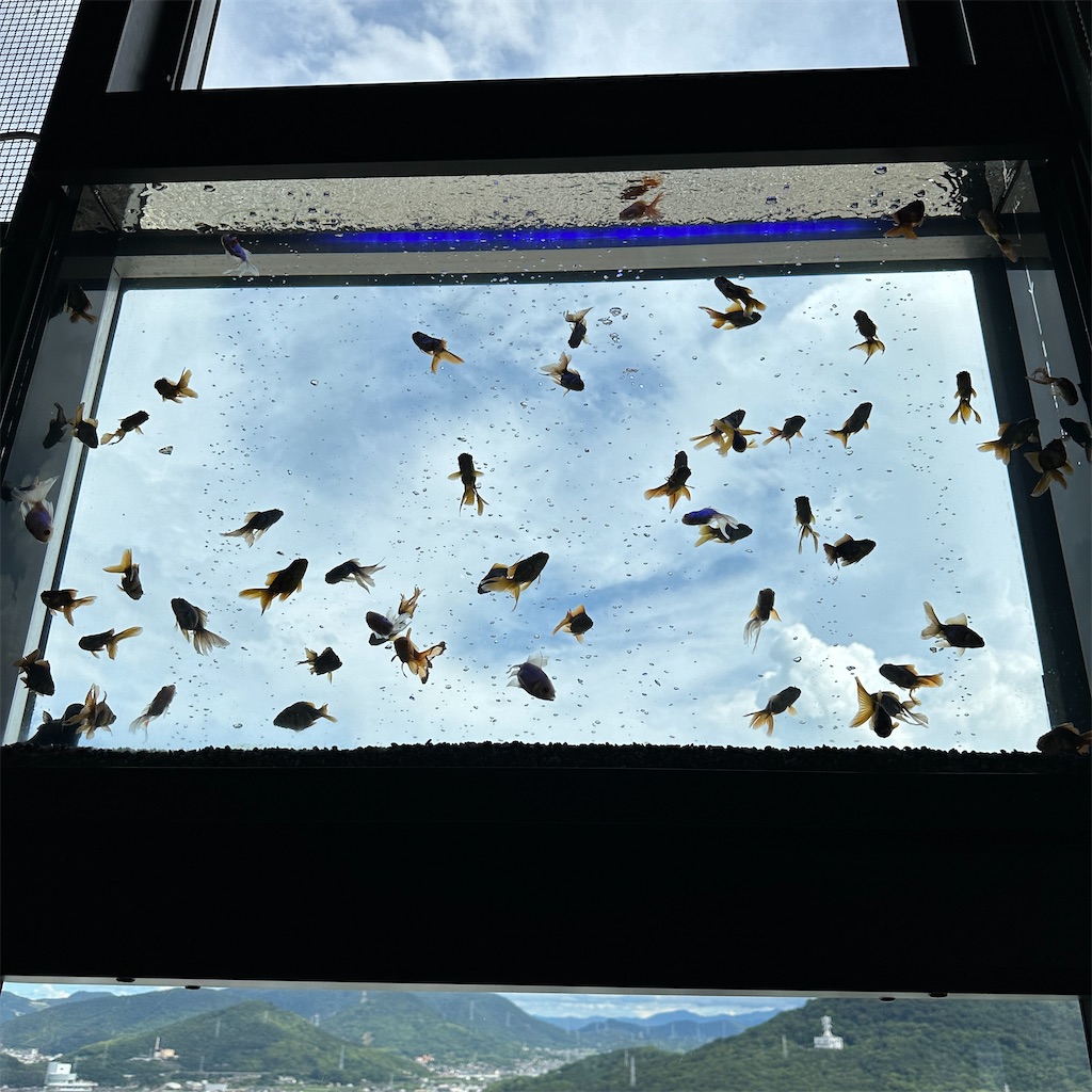 f:id:keikostyle:20230825201727j:image