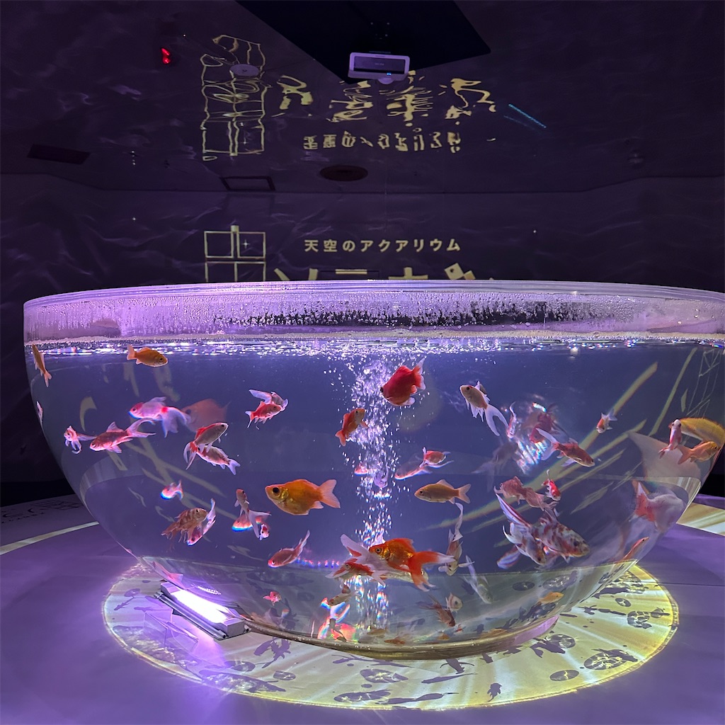 f:id:keikostyle:20230825201737j:image