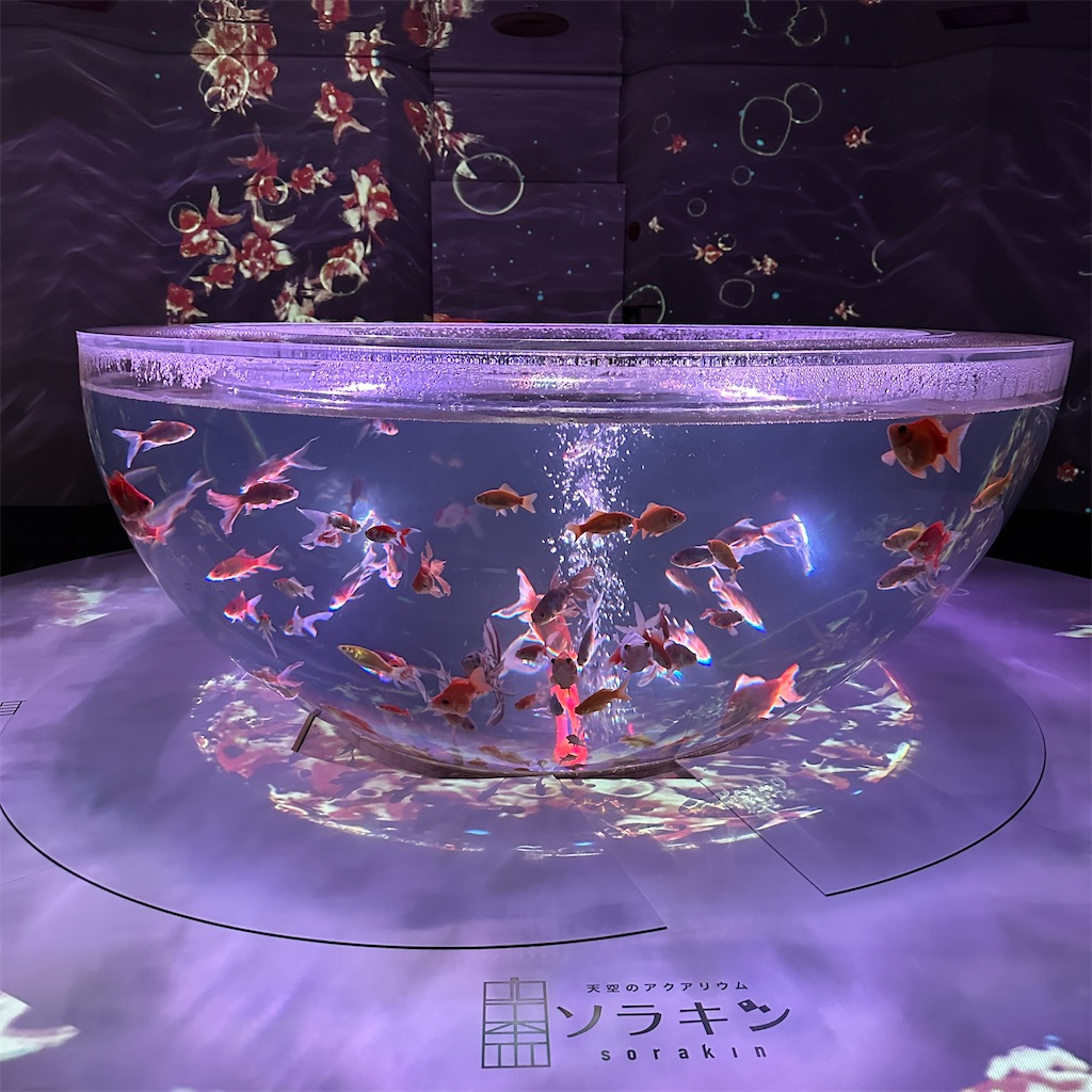 f:id:keikostyle:20230825201743j:image