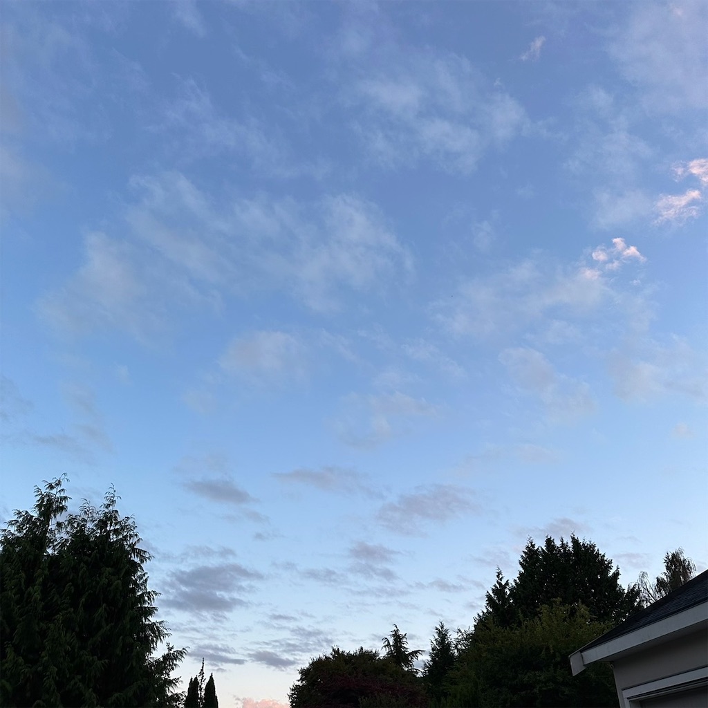 f:id:keikostyle:20230904133813j:image