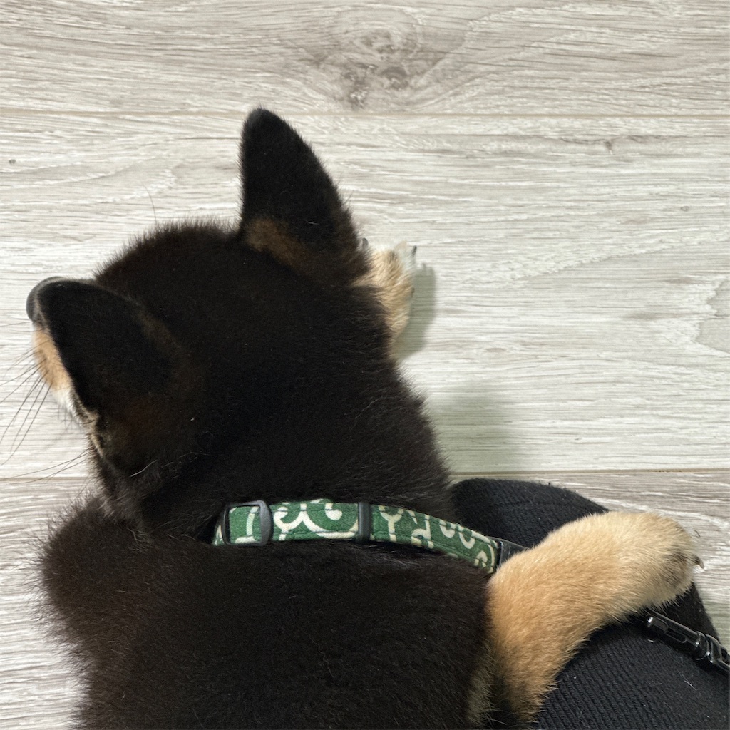 f:id:keikostyle:20230926175125j:image