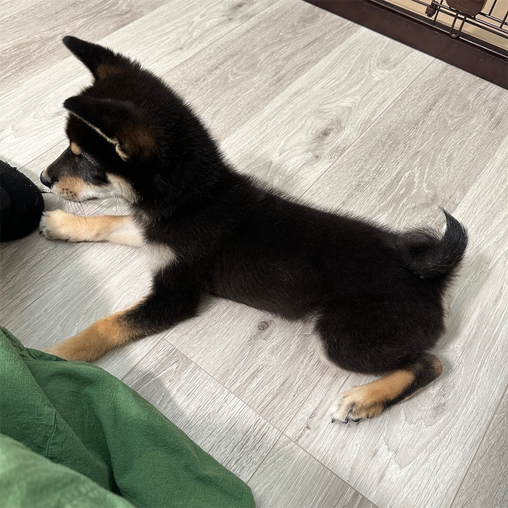 f:id:keikostyle:20230926175135j:image