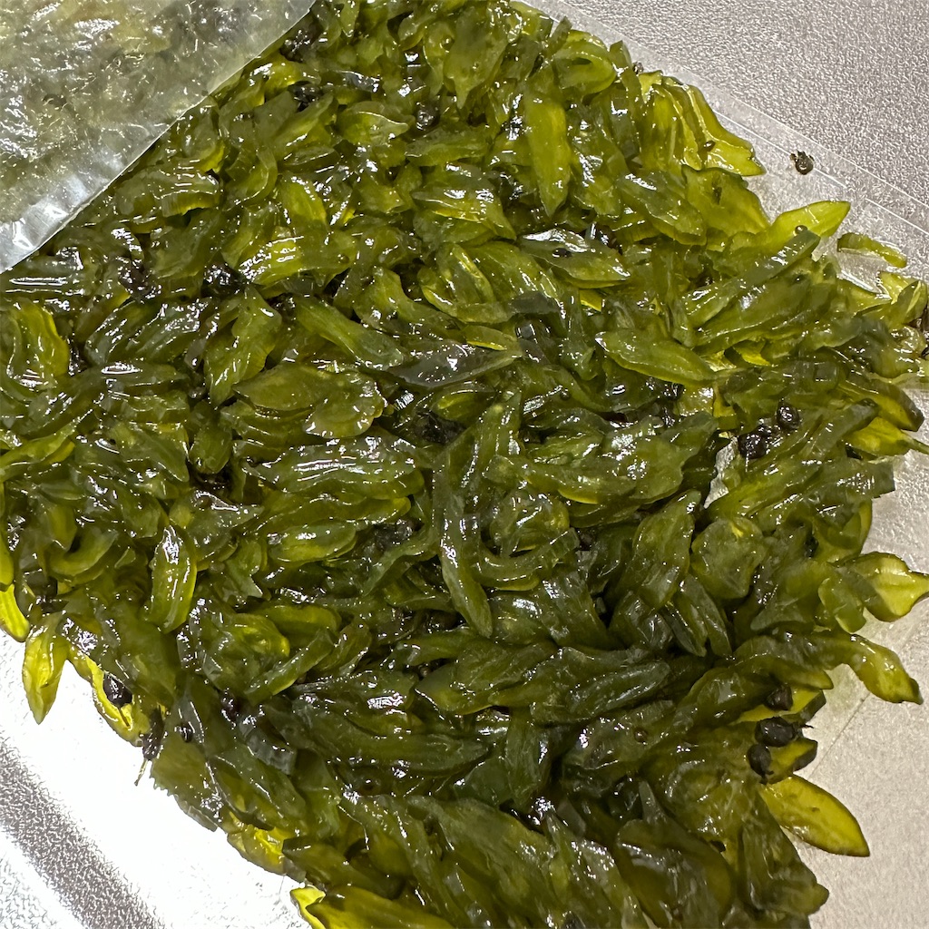 f:id:keikostyle:20231029193537j:image