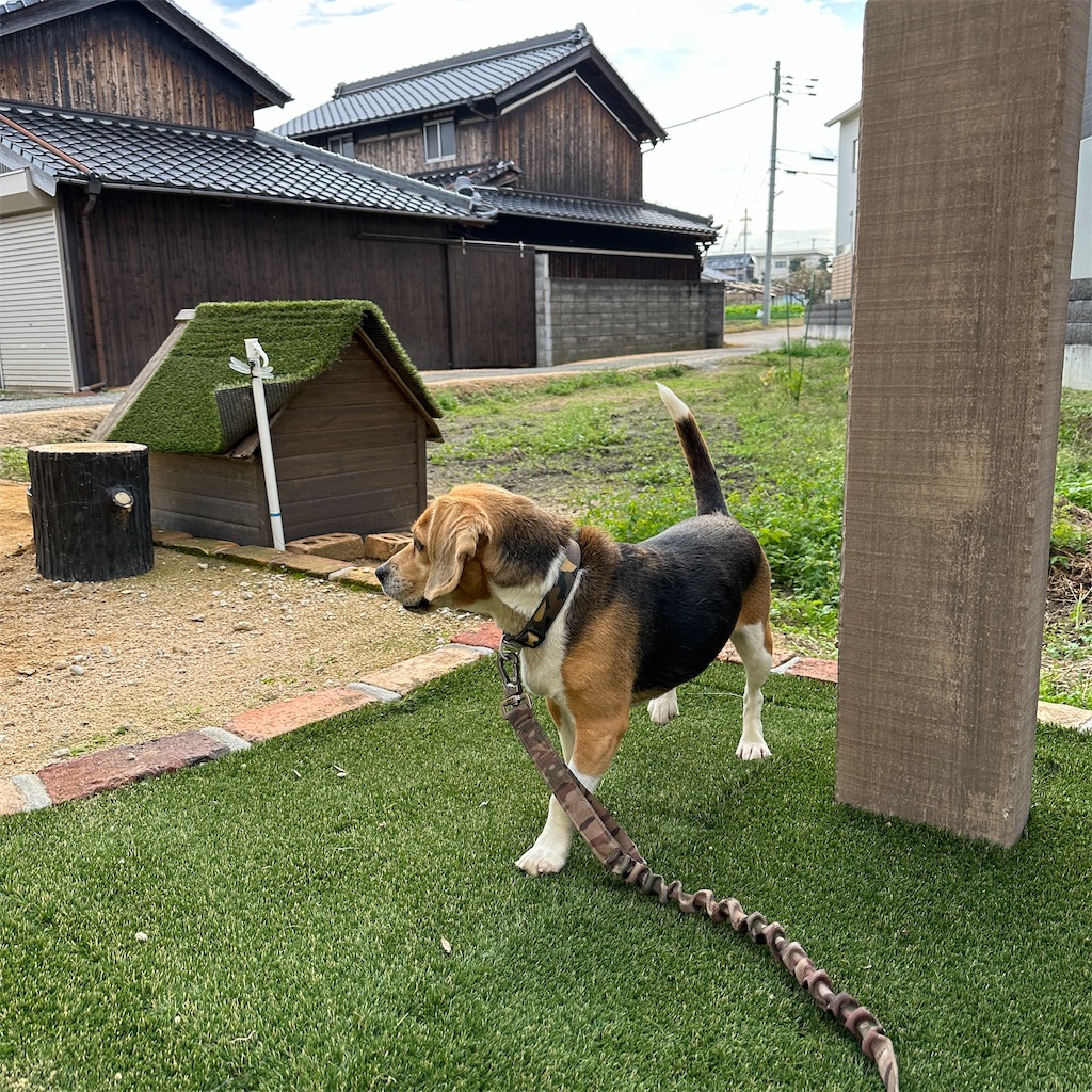 f:id:keikostyle:20231123182522j:image
