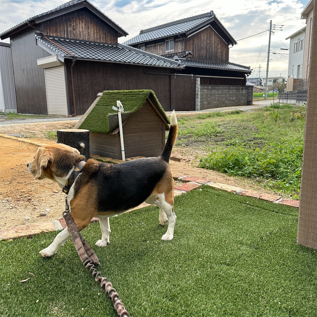 f:id:keikostyle:20231123182526j:image