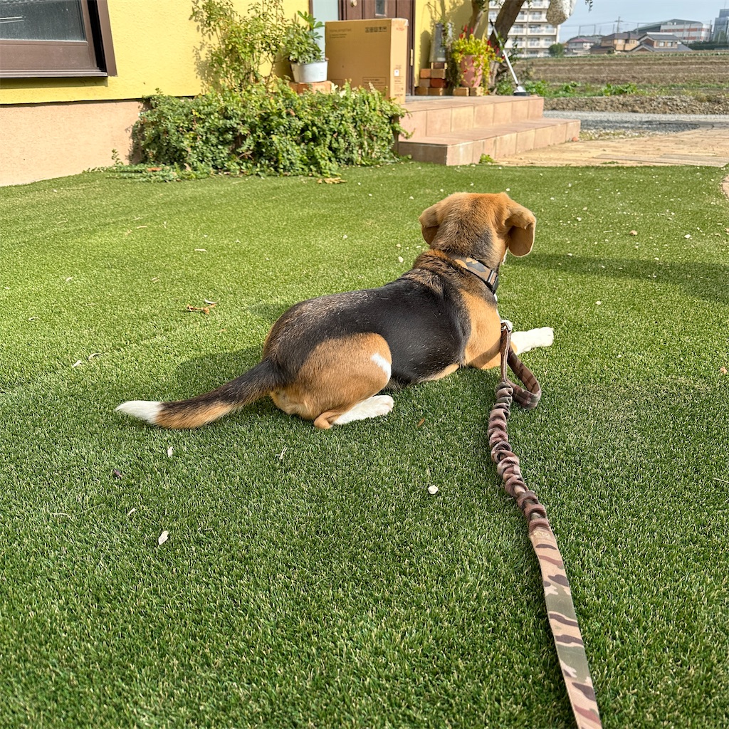 f:id:keikostyle:20231123182529j:image
