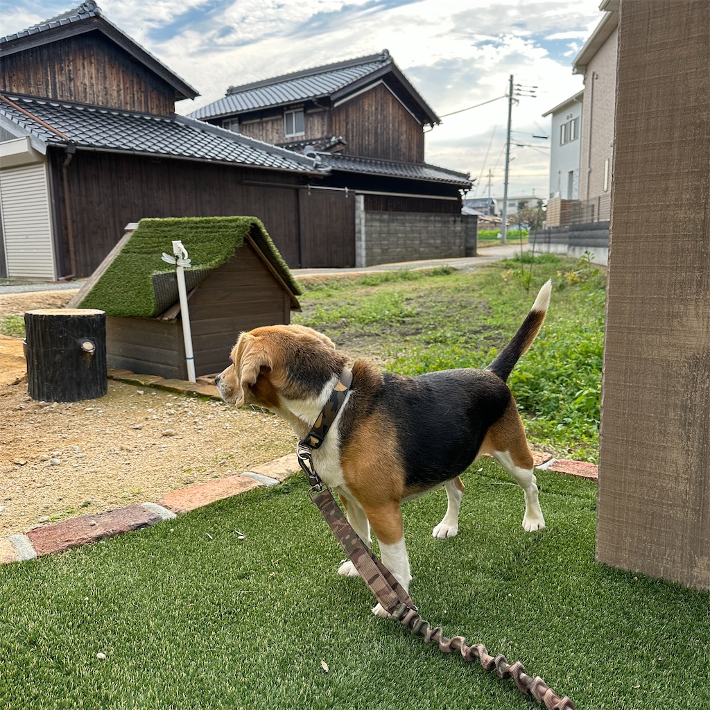 f:id:keikostyle:20231123182542j:image