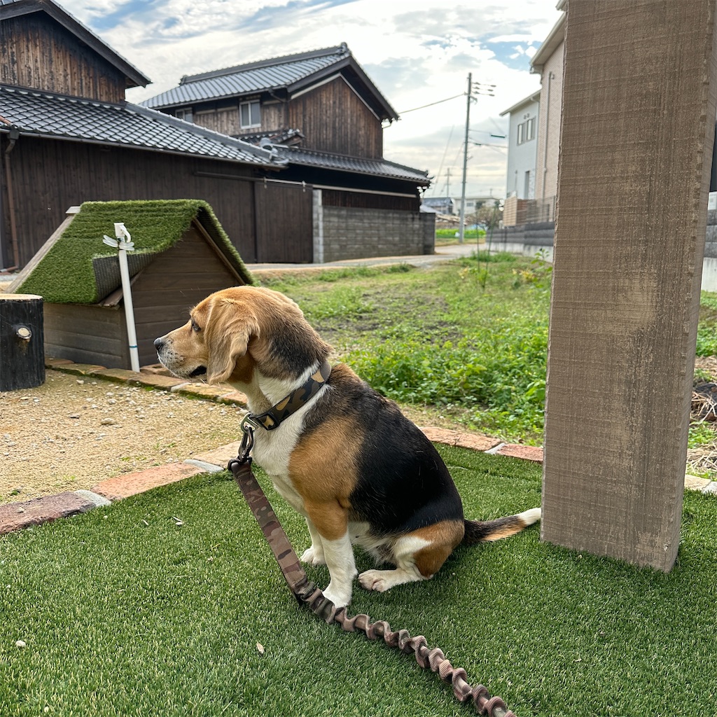 f:id:keikostyle:20231123182545j:image