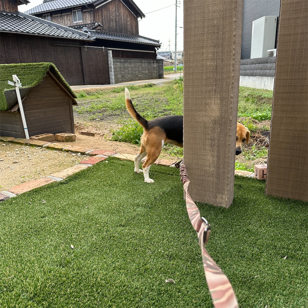 f:id:keikostyle:20231123182559j:image