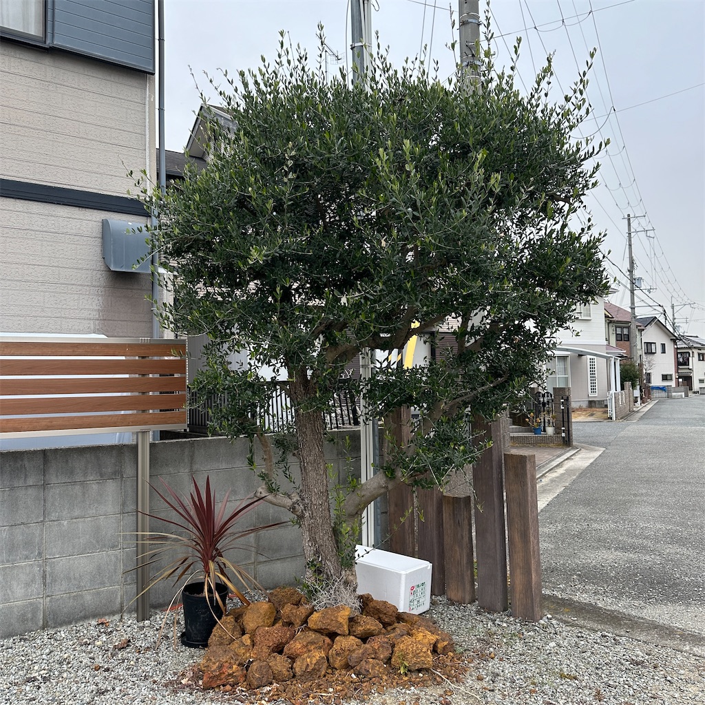 f:id:keikostyle:20231219142359j:image