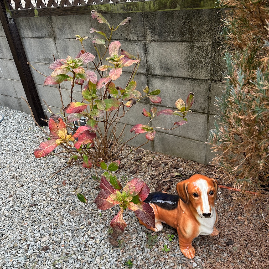 f:id:keikostyle:20231219142406j:image