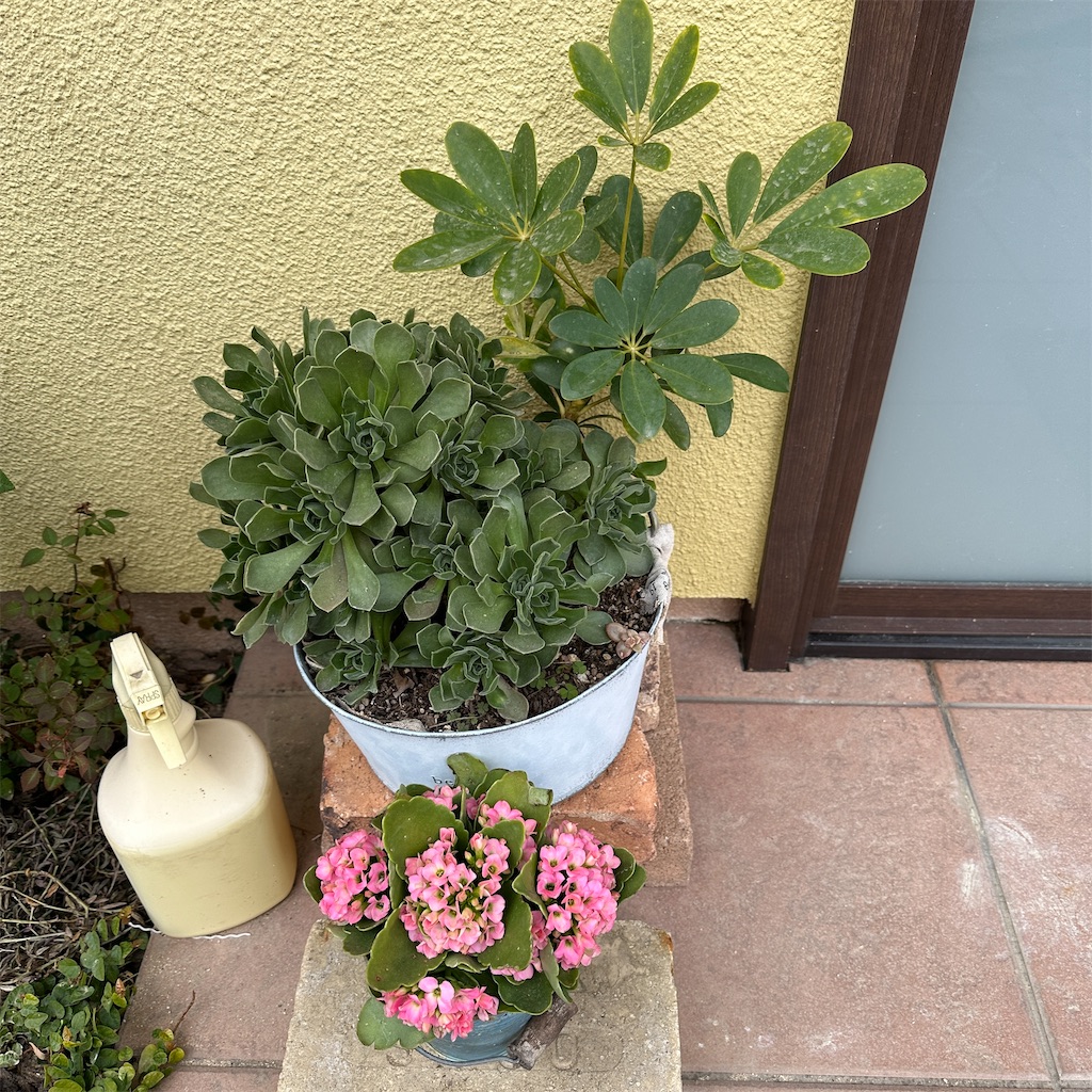 f:id:keikostyle:20231219142419j:image