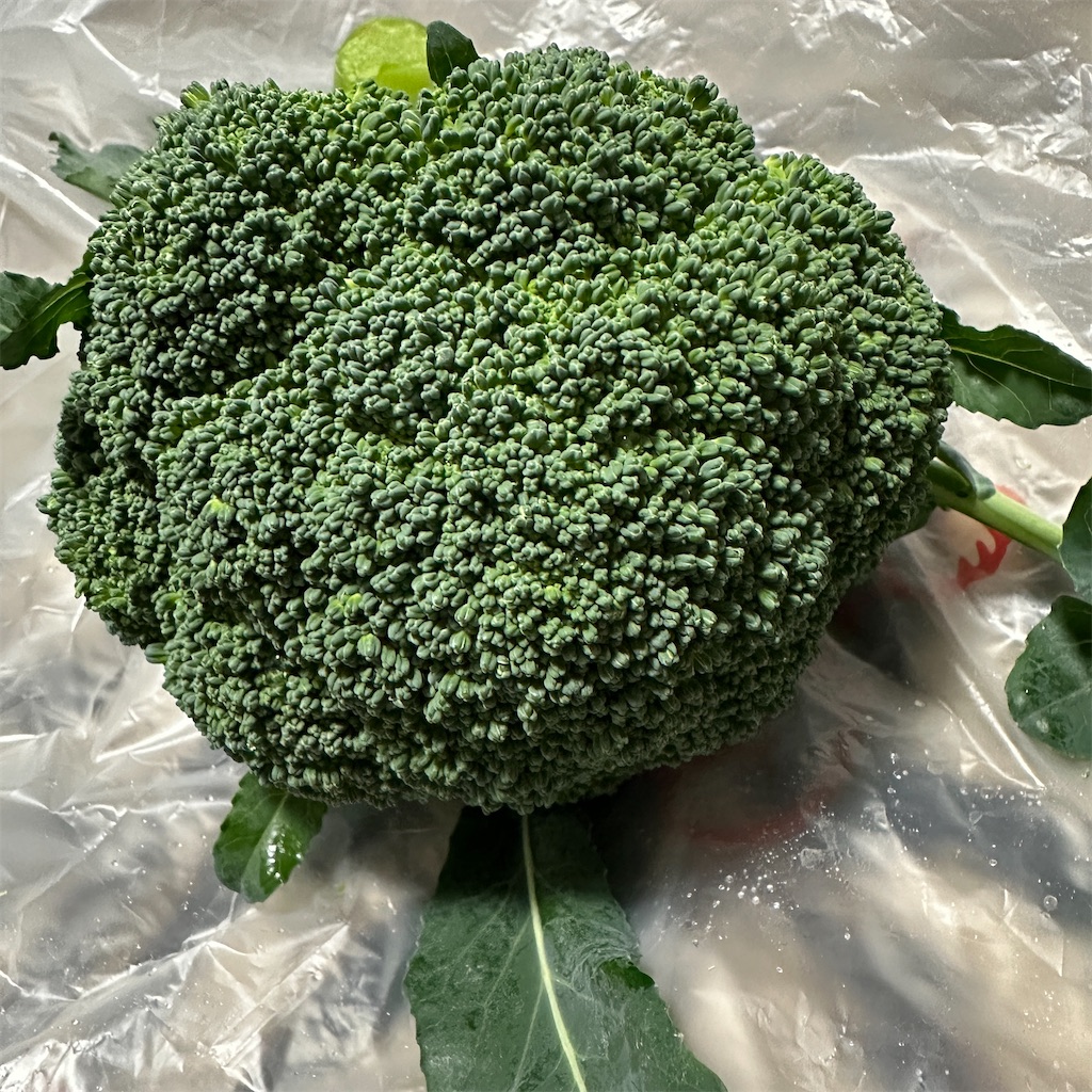 f:id:keikostyle:20231223092815j:image